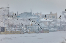 Επανομή Θεσσαλονίκης