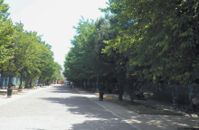 Πεδίο του Άρεως