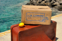 Lemon, στο Θέατρο Radar