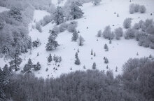 Βασιλίτσα, Κοζάνη