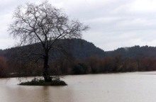 Νομός Ηλείας