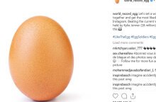egg