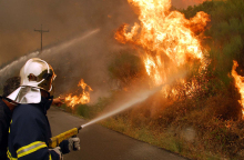 Ηλεία, Πυρκαγιά