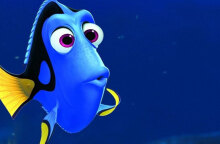 dory