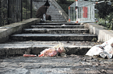 Φωτό του Θάνου Πουλημένου από το διαγωνισμό “Athens Photo 2010” στην Τεχνόπολη