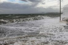 apagoreutiko_apoplou