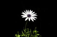 Ποιοι γιορτάζουν σήμερα 8 Απριλίου;