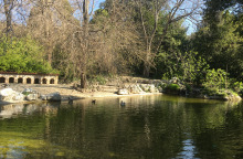 Canon PowerShot SX70 HS