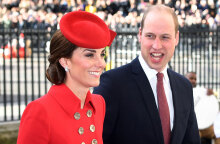 kate-william