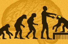 Εμφύτευση ανθρώπινων γονιδίων σε πιθήκους, ένα αμφιλεγόμενο πείραμα 