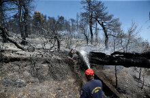 Δασική πυρκαγιά