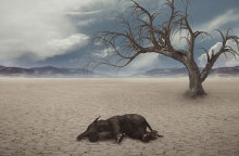 Ξηρασία / © Pixabay