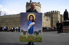 Βασιλικό μωρό