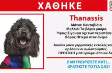 thanasis1.jpg