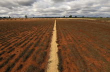 Ξηρασία στην Αυστραλία