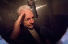 assange