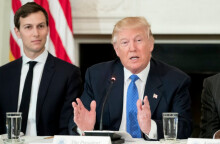 trump-kushner