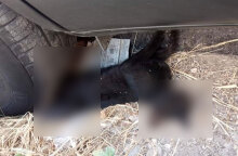 Οδηγός στην Πάτρα πάρκαρε το όχημα πάνω σε γάτα