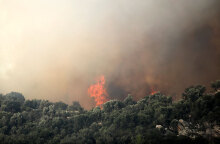 Δασική πυρκαγιά