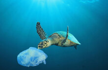 Πλαστική σακούλα 