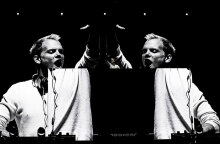 avicii