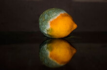 Σάπιο λεμόνι