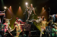 cirque du soleil