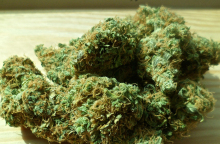 Ακατέργαστη κάνναβη