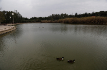 Πάρκο Τρίτση