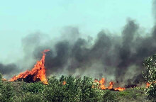 Ελαφόνησος - Φωτιά