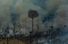 Φωτιά στον Αμαζόνιο από την περιοχή Άλτα Φορέστα