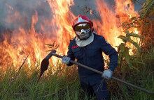 Αμαζόνιος - φωτιές 