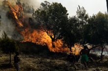 Φωτιά στη Νέα Μάκρη