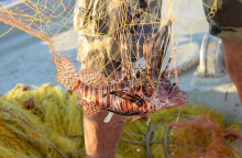 Λεοντόψαρο πιάστηκε στα δίχτυα ψαρά στην Κρήτη