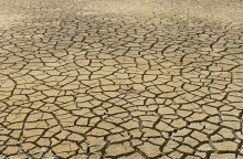 Ξηρασία
