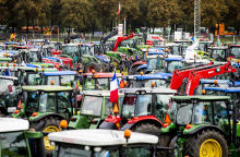 Τρακτέρ Ολλανδίας