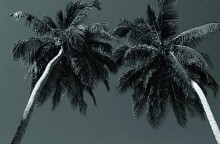 Ιωάννα Ντούμπρου, «Βορινή παραλία», Εκδόσεις Πατάκη