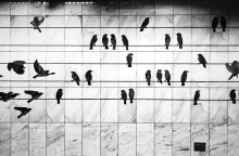 Σταθμός Μετρό Μέγαρο Μουσικής