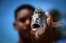 Οικολογική καταστροφή στη Βραζιλία