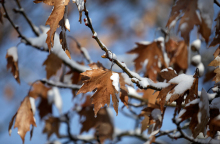 Χιονόπτωση