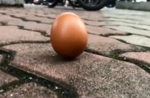 egg.jpg
