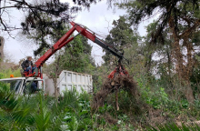 Βοτανικός Κήπος