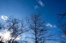 Ηλιοφάνεια