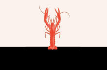 ekei pou tragoudane oi karavides Delia Owens ekdoseis doma