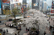 Κορωνοϊός στο Τόκιο