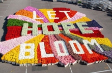 Η διαφημιστική καμπάνια της Flower Council of Holland για τον Covid-19