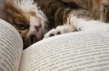 #menoumespiti με την Athens Voice: Η Rights Manager των εκδόσεων Διόπτρα, Γλυκερία Δημητροπούλου, περιγράφει μία μέρα στο σπίτι, εν μέσω πανδημίας κορωνοϊού