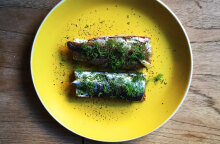 Γαύρος με δύο τρόπους