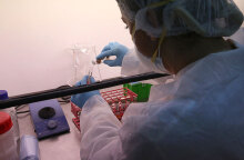 Μοριακά τεστ ανίχνευσης κορωνοϊού στο Ινστιτούτο Παστέρ