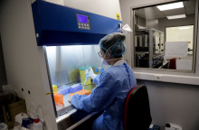 Σύμβουλος του Τραμπ υπονοεί ότι ο κορωνοϊός δεν είναι νέος 